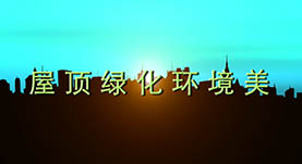 屋顶绿化环境美