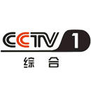 客户群体