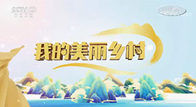 美丽乡村