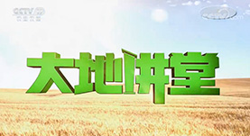 大地讲堂